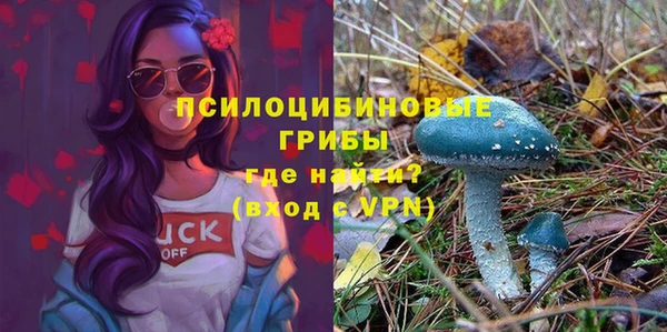 СК Кулебаки