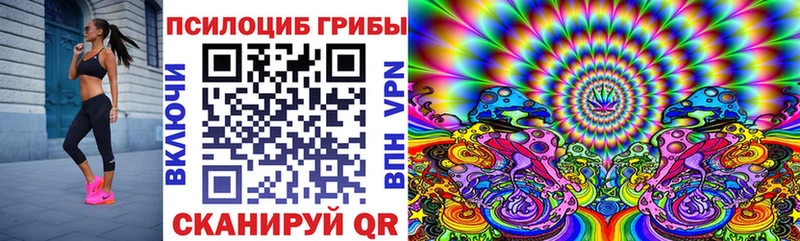 Купить  Можайск  Галлюциногенные грибы Psilocybine cubensis 
